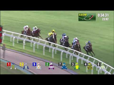 23/5/2021 (692) Courier Wonder - J Moreira (G3, The Sha Tin Vase, best new horse of the season!)