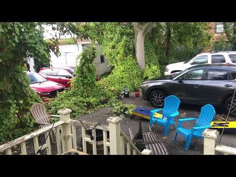 Varsity Management - Video 2 of 2