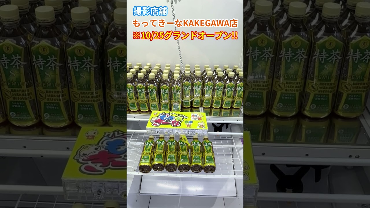 お茶がめっちゃ取れる！！　フック設定が凄すぎたｗｗｗ　もってきーな掛川店　#クレーンゲーム　#ゲームセンター　#cranemachine #clawmachine 　#shorts #クレーンゲーム