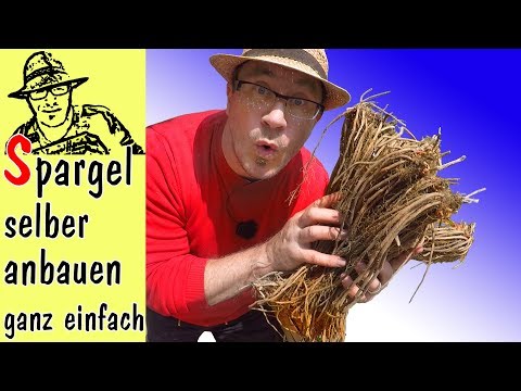 , title : 'Spargel anpflanzen: Ganz einfach!'