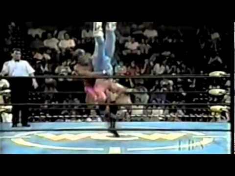 Paul Orndorff vs. Barry Houston Piledriver