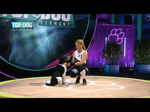 Pippilotta makes the world the way she likes it! 🌈 | Top Dog Germany