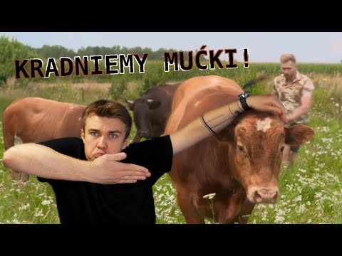 "BIEDNY DOM - BOGATY DOM" ALE KOCHAM MUĆKI !