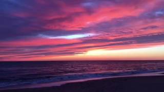 The Cranes - Patty Larkin (unauthorized)