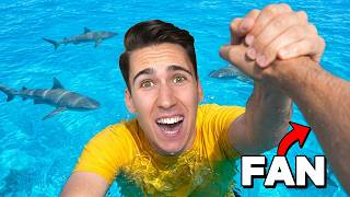 Video thumbnail image