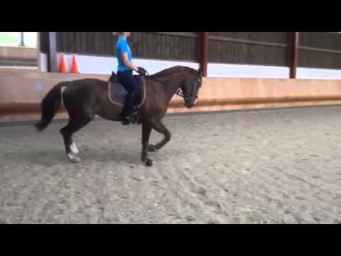 5dc6759c5f8970a063022b531f6ca07e