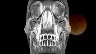 黙示録 - Crystal Skulls (Produced By: edk)