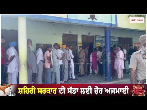 MC Election 2026 | ਕਪੂਰਥਲਾ ‘ਚ ਦੇਖੋ ਪਾਰਟੀ ਦਾ ਬੋਲਬਾਲਾ ?