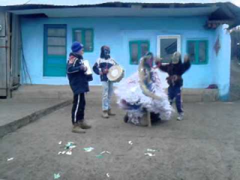 Capra de la viforeni 2014