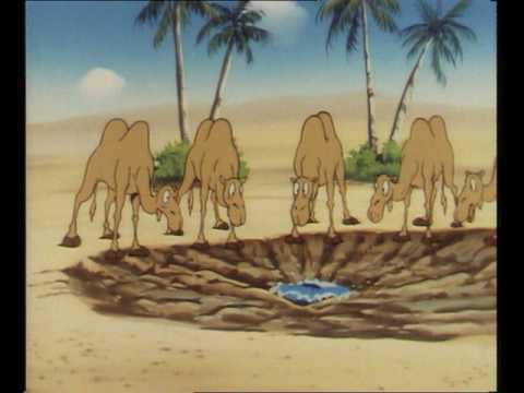 Boes - In de weer met beer