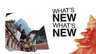 DVBBS   Listen Closely feat  SAFE Lyric Video