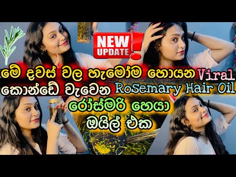 හැමෝම හොයන දවස් 7න් කොන්ඩේ වවන රෝස්මරි | Make rosemary oil | stop hair fall and regrow thinning hair
