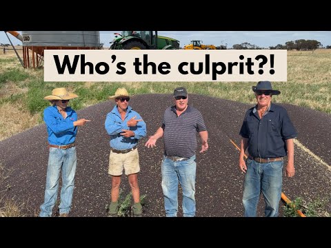 South Australian Harvest Part 2: Reaping Barley & Finishing Canola.