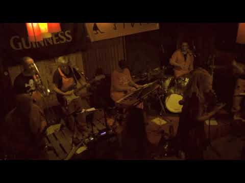 Organic Stuff Bierhalle demo cut