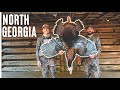 TURKEY HUNTING In The MOUNTAINS Bear Encounter