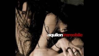 Aquilon-Immobile-08-Perdu