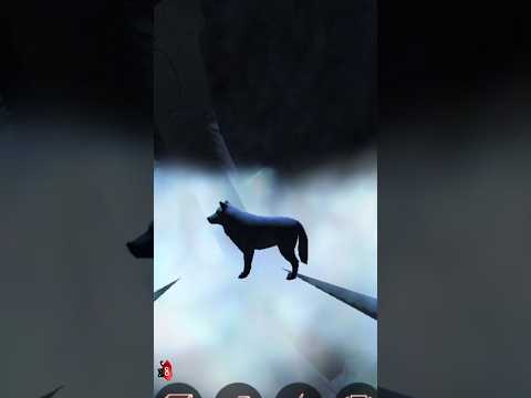 The Wolf - Hail cloud from above.