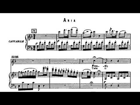 Prendi, per me sei libero | L' Elisir d'amore | Donizetti Accompaniment
