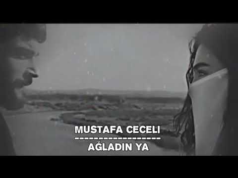 Mustafa ceceli - Ağladin ya || #Reymir || Subtitle badini