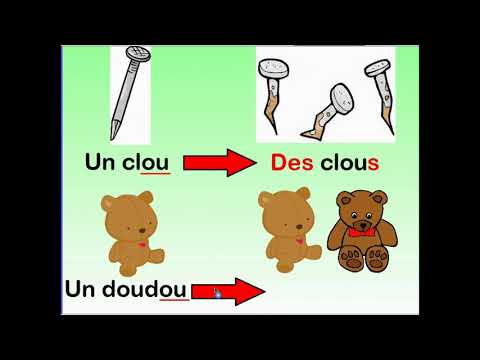 Le pluriel des noms - CE2
