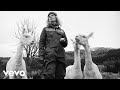 Ida Maria Dirty Money Official Video