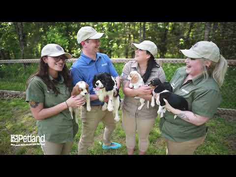 Kennel Tour 158