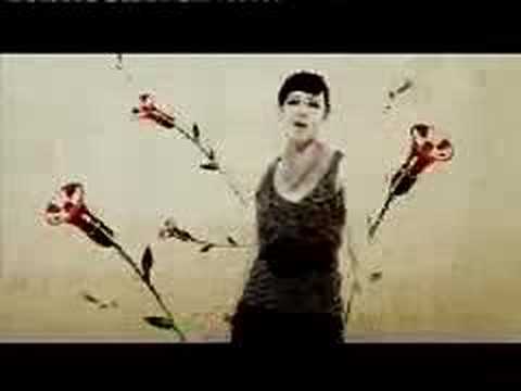 SOFA - Szkoda słów