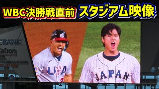 [分享] WBC決勝戰前現場播放的影片