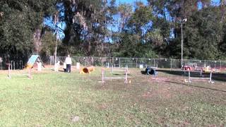 Daisy week 3 Sequence 1