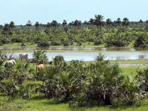 8  MIGUEL FARFAN   TAL VEZ