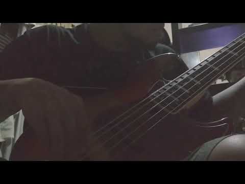 Sire Marcus Miller V7 5 Strings upgrade with Omega Bridge