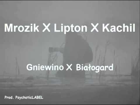Mrozik HZS (GWO) x Lipton (BRD) x Kachil (GWO) - GWO x BRD