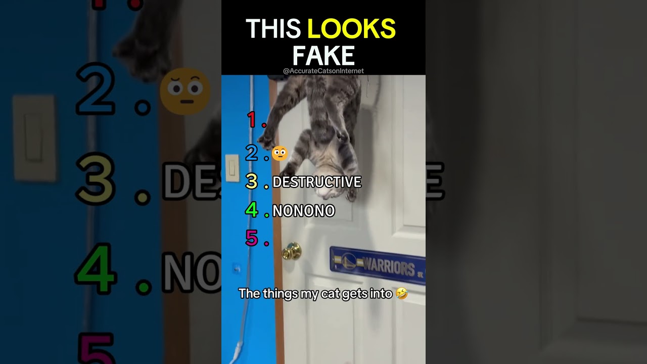 Cats That Look Completely Fake 😳