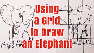 How to Draw an Elephant Using a Grid - Art Tutorial For Kids