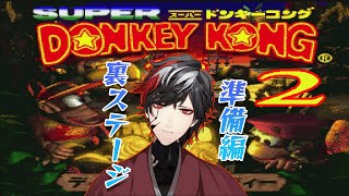 【スーパードンキーコング2】ロストワールドへ向けて準備！！【Donkey Kong Country 2】【VTuber】【No.9 Yata】