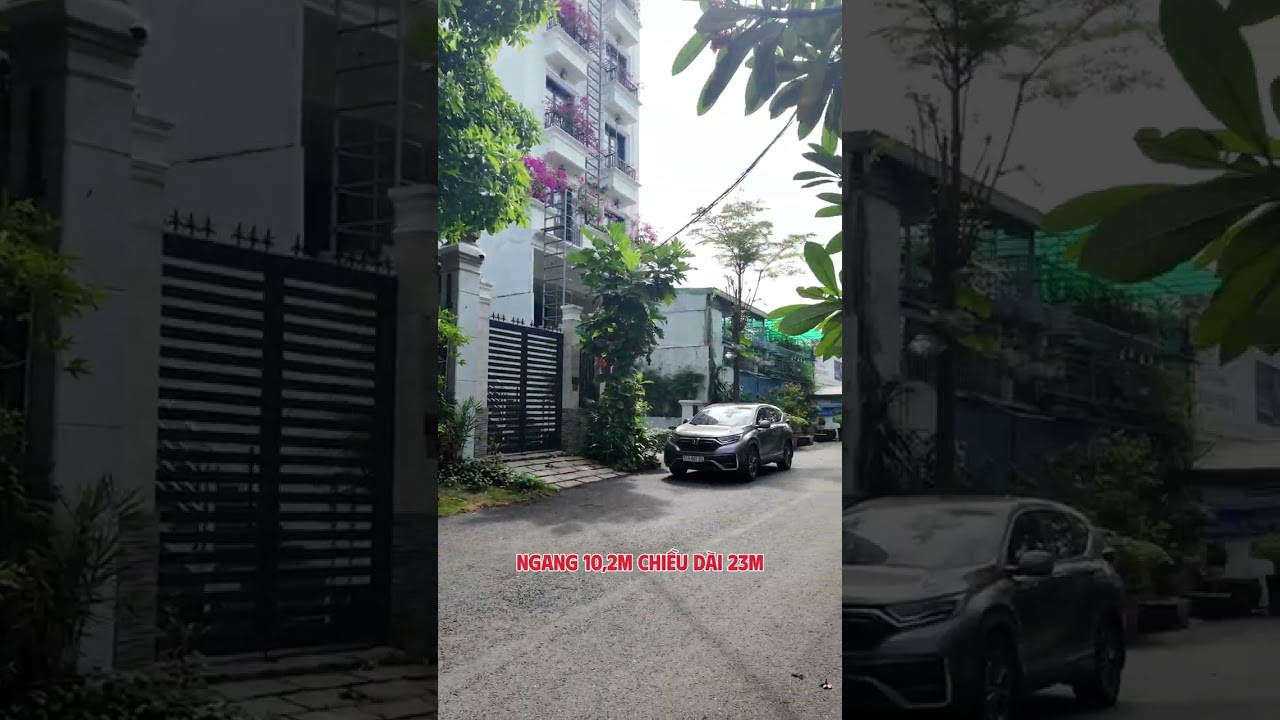 Ảnh đại diện Video