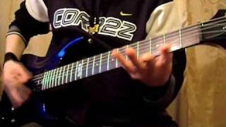 Madball - Hold It Down [hardcore guitar cover nyhc]