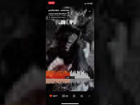 Profitchild-switches