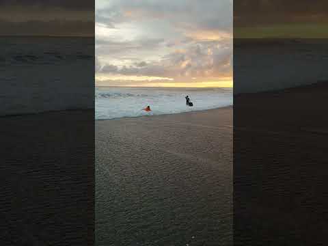 002 Jaco Beach, Puntarenas Province, Costa Rica