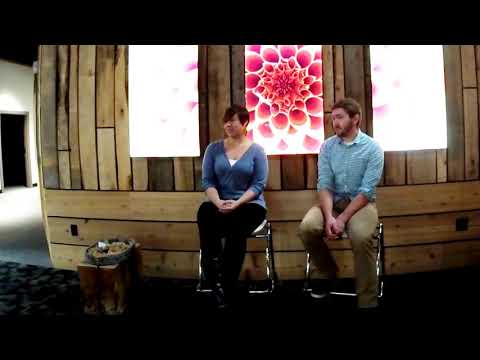 download lagu mp3 mp4 Wheatless Wonders, download lagu Wheatless Wonders gratis, unduh video klip Wheatless Wonders