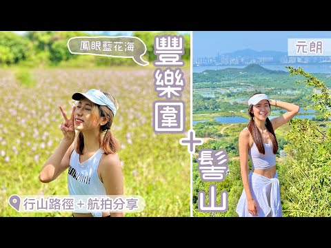 【香港行山】- 熱點「元朗 - 髻山 + 豐樂圍」尋找’鳳眼藍‘花海，欣賞濕地公園🌟行山路徑+航拍分享