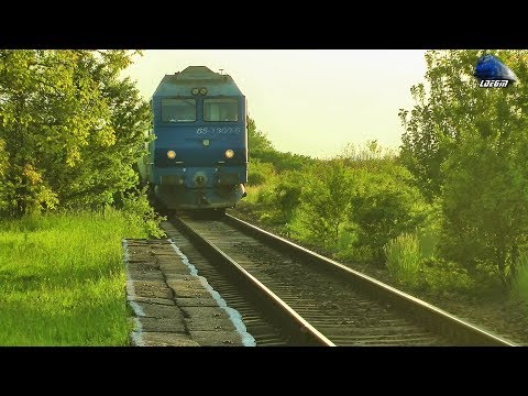 GM 65-1300-6 & IR143-2"Transilvania" Wien Hbf.-Cluj Napoca in Halta Săcădat Halt - 12 May 2019