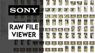 Sony Raw file thumbnail viewer for Windows || Solution !!!