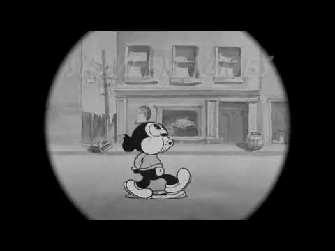 Shayfer James - Make a Wish (Official Video)