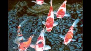 Rasputina- Wish You were Here