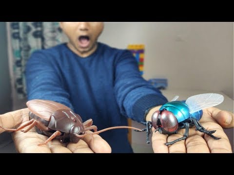 Creepy toys cockroach & giant fly unboxing/test/review