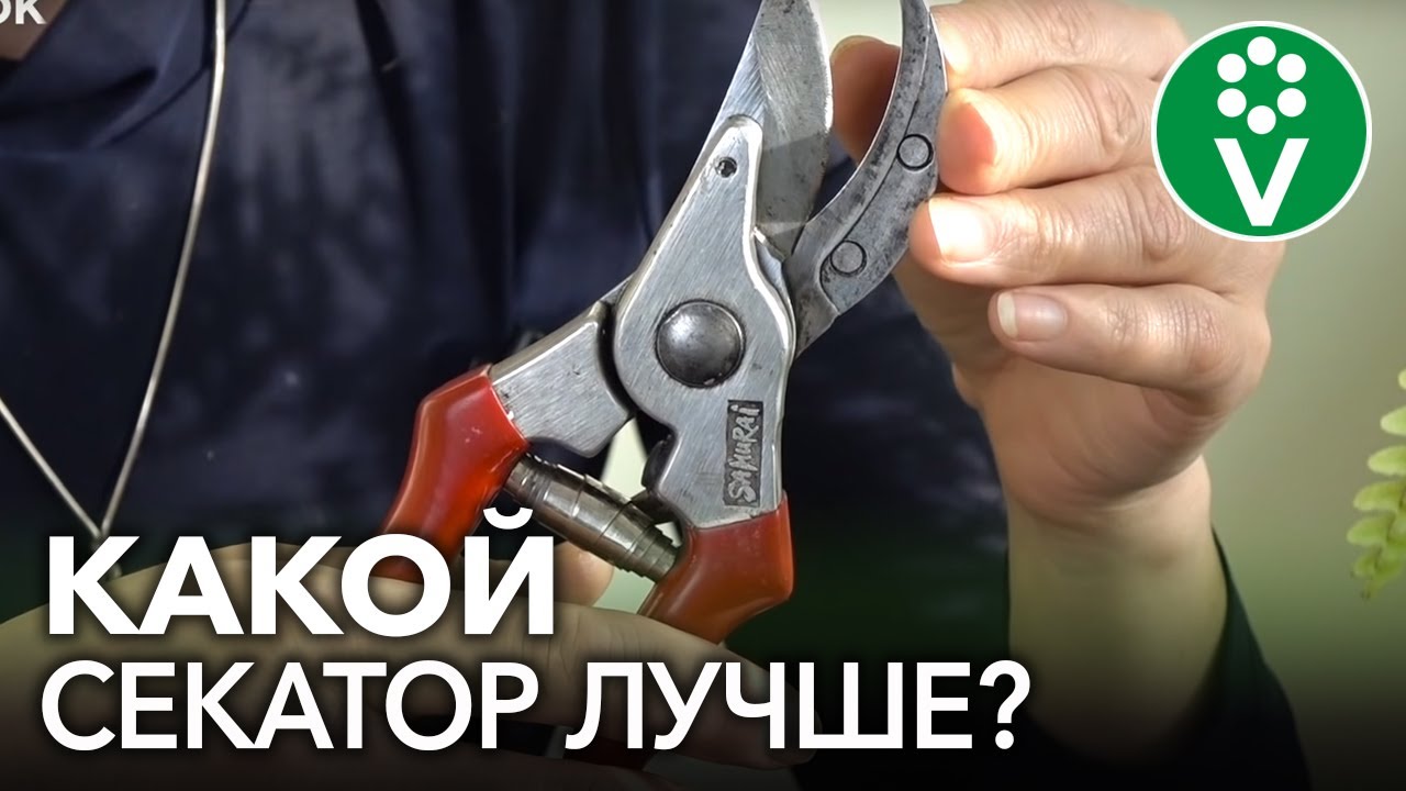 Какой Секатор Лучше Купить Для Обрезки