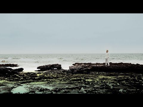 Rainhard Fendrich "Burn Out" (Offizielles Musikvideo)