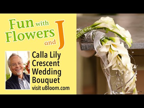 download lagu mp3 mp4 Calla Lily Flower Girl, download lagu Calla Lily Flower Girl gratis, unduh video klip Calla Lily Flower Girl