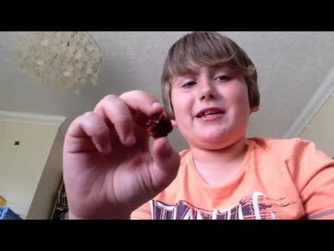 WATCH: 9yo chilli-eater's instant regret